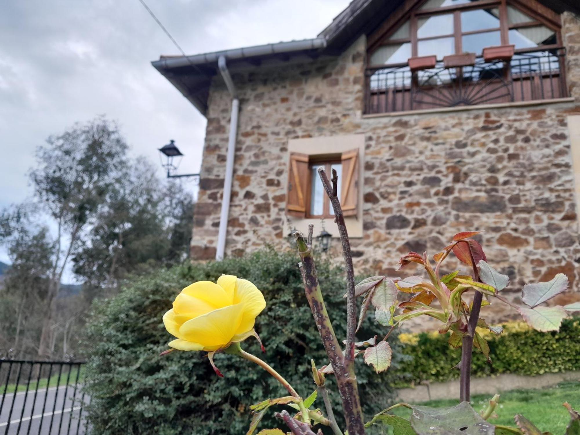 Urrezko Ametsa Guest House Sopuerta Ngoại thất bức ảnh